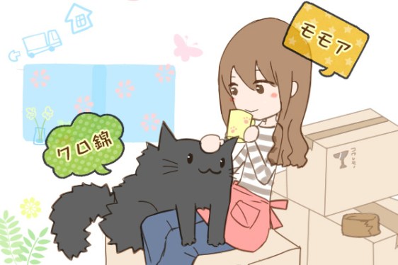 cat_kuronishiki_move_img_00